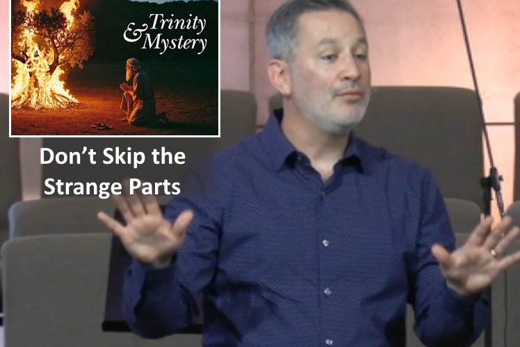 Don’t Skip the Strange Parts