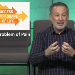 The Problem of Pain