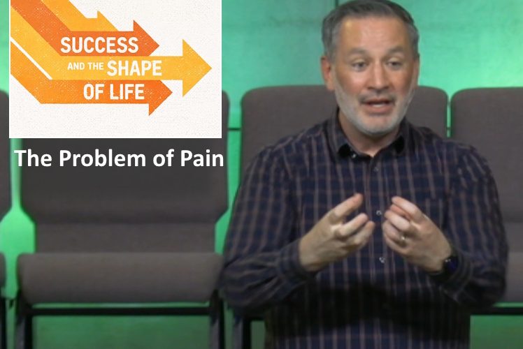 The Problem of Pain
