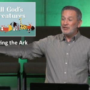 Exiting the Ark