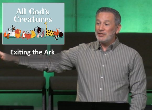 Exiting the Ark