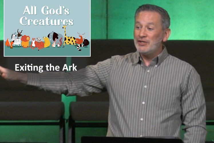 Exiting the Ark